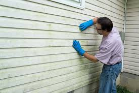 Best Historical Building Siding Restoration  in Palmview, TX